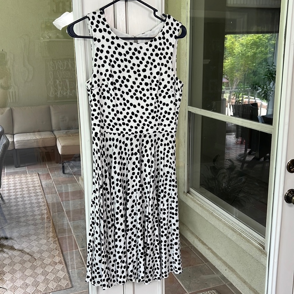 XS Loft Black and White dot dress